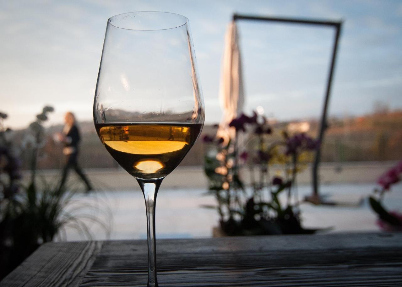 Klanjscek Wine&Stay 戈里齐亚 外观 照片